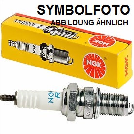 ngk-lang.jpg